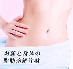 お顔と身体の脂肪溶解注射