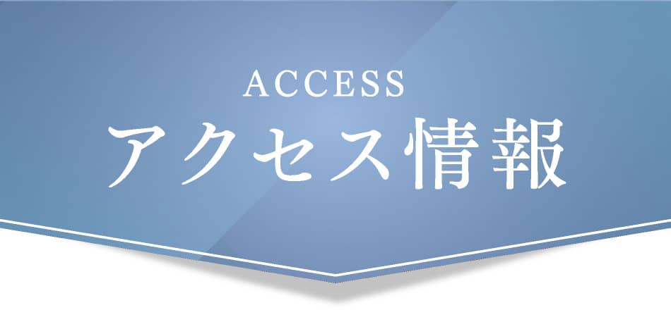 ACCESS アクセス情報